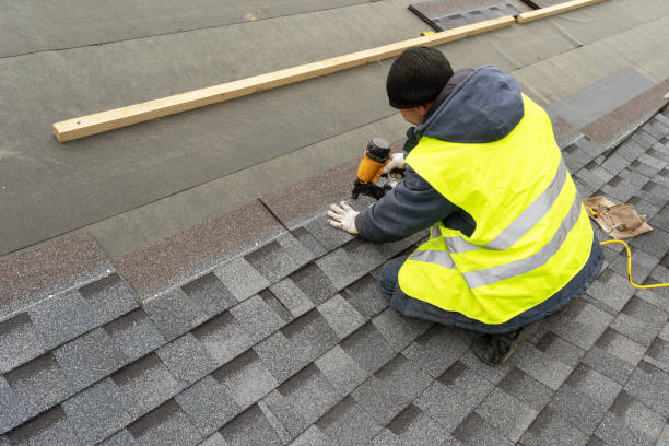 Best Roof Gutter Cleaning  in Georgetown, CA